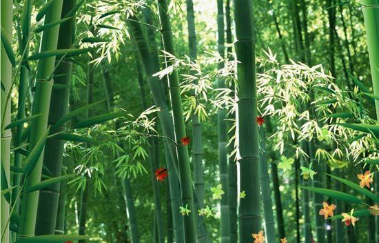 大自然沁人心脾的新鮮空氣，在家也能呼吸到